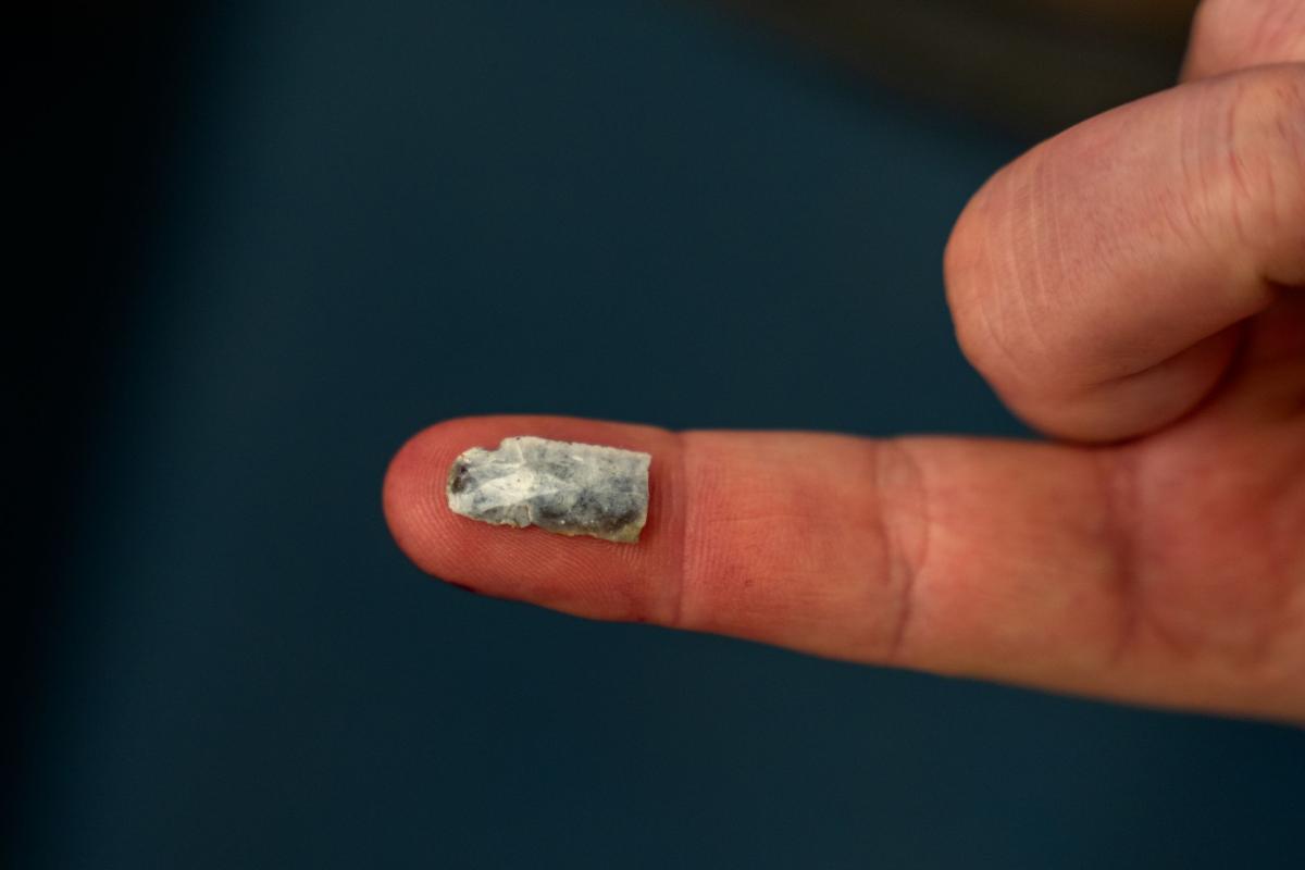 On a finger tip, a tiny blue-grey microlith, a broken flint blade. The sides are parallel 