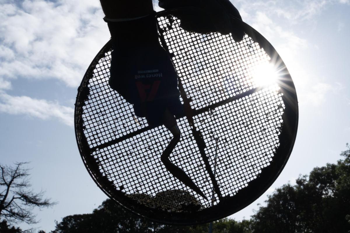 Silhouette of a man holding a trowel and sieve up the sun as part of the dig stage of the project 