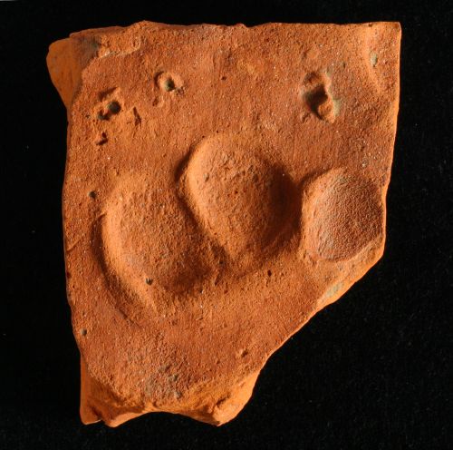 Tile with dog's pawprint from enclosure ditch in western part of the site