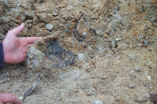 Neolithic pottery fragments in-situ