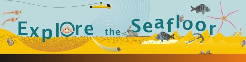 Explore the Seafloor