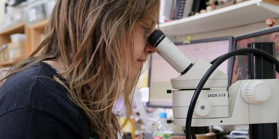 Environmental archaeologist studying samples through a microscope