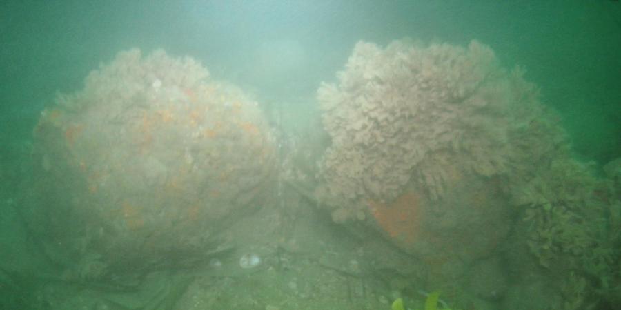 Ships barrels underwater in the Solent