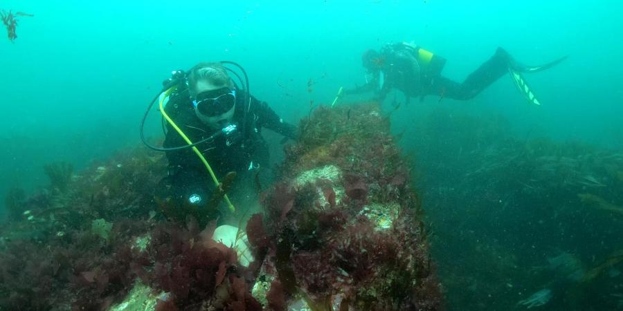 Divers from the Wessex Archaeology Coastal & Marine team photographed underwater