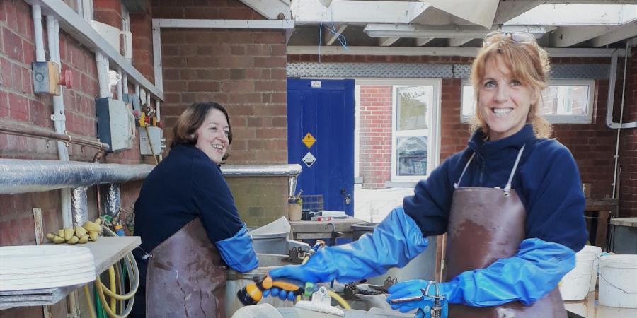 A day in the life of an Environmental Lab Technician Jenny and Liz