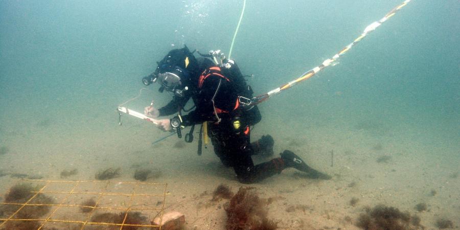 A diver on the Swash Channel wreck