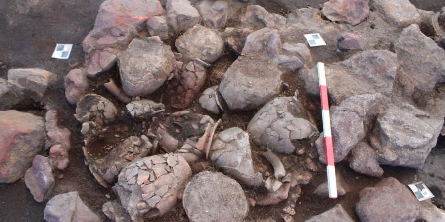 An assemblage of Roman Black Burnish ware pottery. Near-complete bowls, jugs, dishes and fragments of broken pieces of pottery are piled up. Some of the pottery is more orange than black which shows where the process of making Black Burnish ware has not worked.