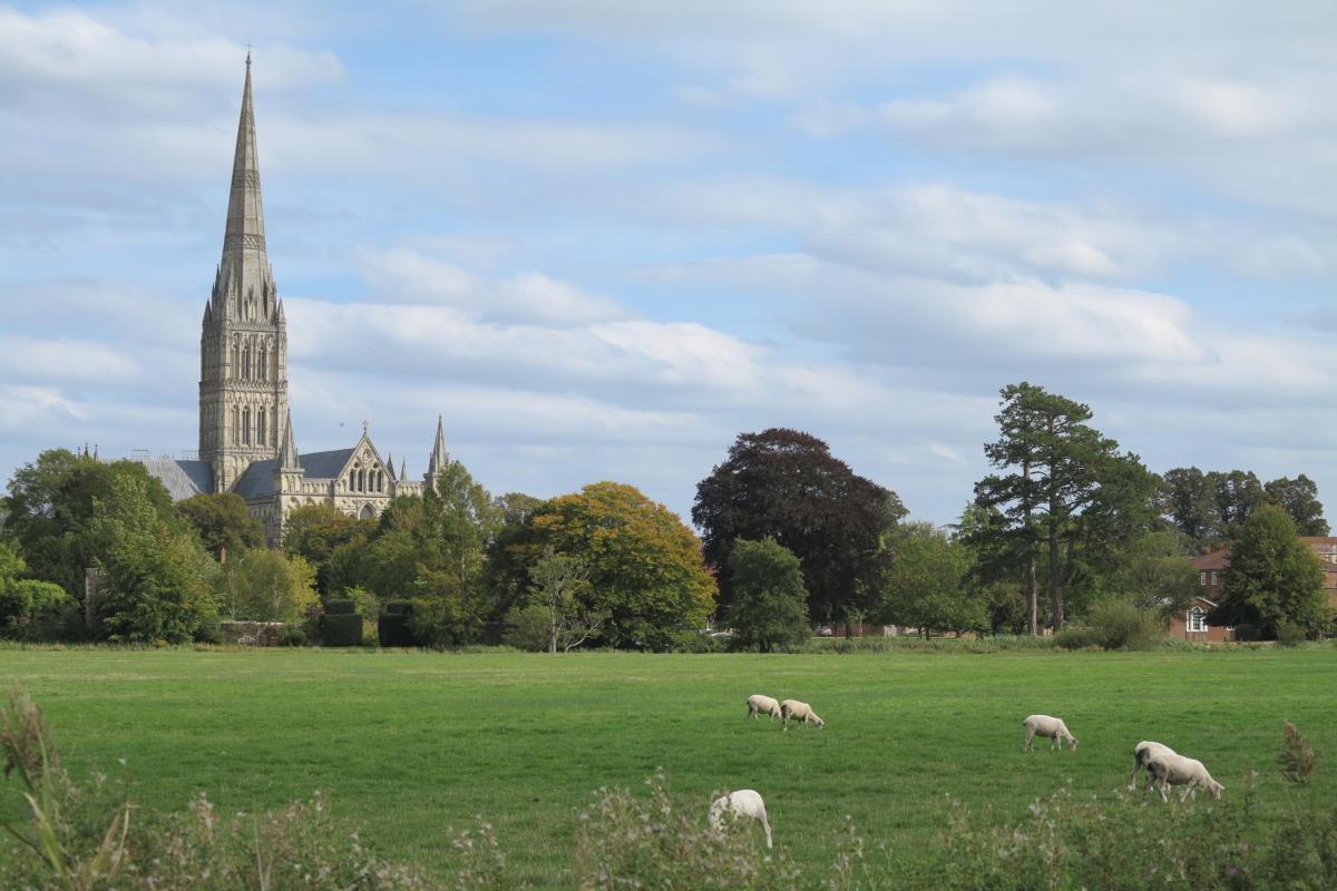 Salisbury Sites 33 Mud Mud Glorious Mud The Archaeology Of The Flood   2020 2340.JPG