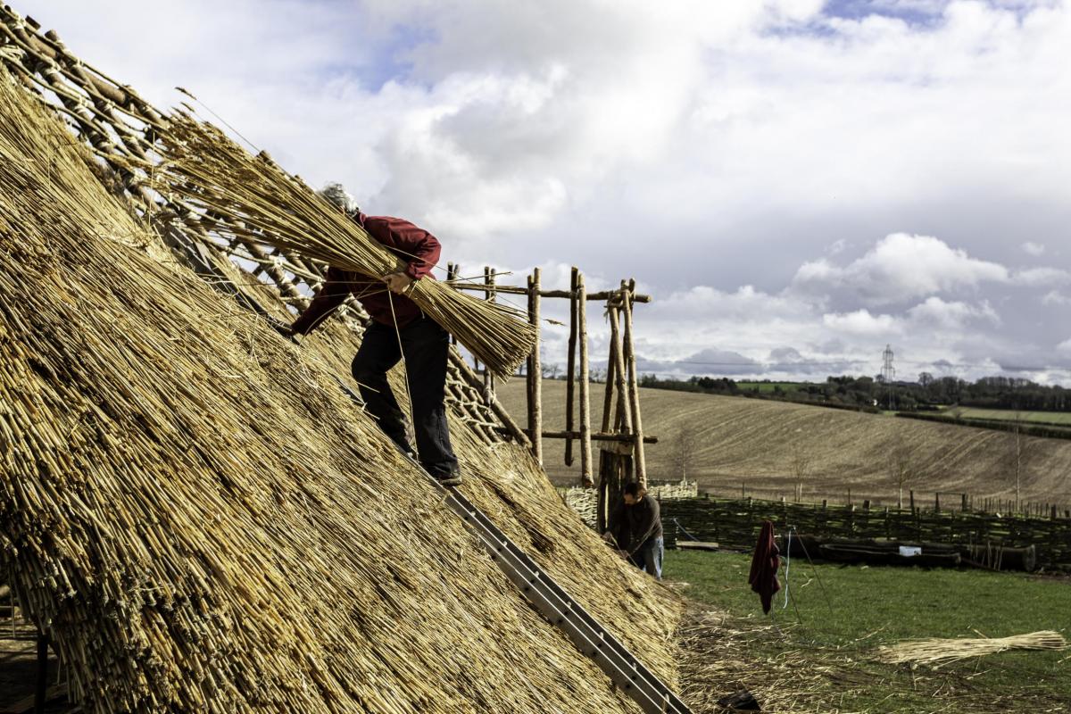 Thatching the Neolithic house roof