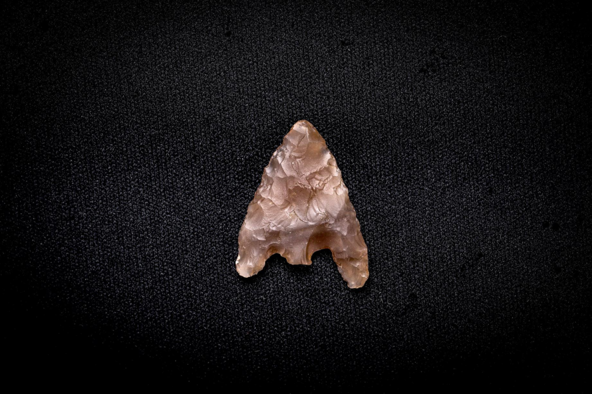 Photograph of flint arrowhead, taken by Tom Westhead
