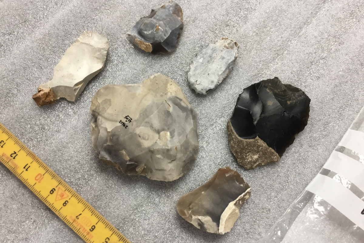 A photograph of six struck flint flakes, of different sizes and shapes