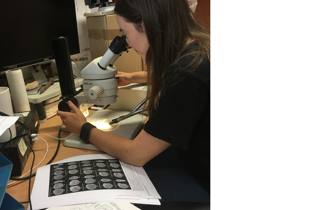 Hayley examining samples through a microscope