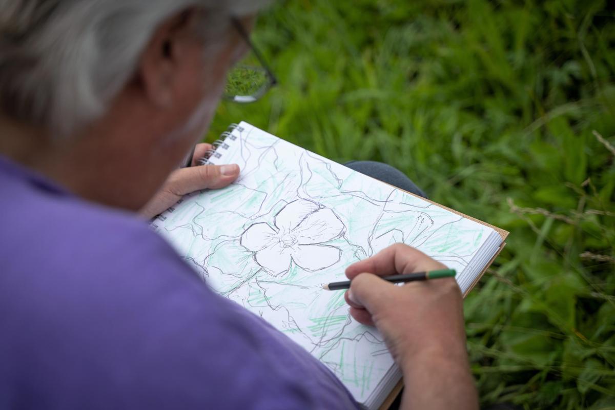 Sketching the surroundings of the River Avon for The Ripple Effect 