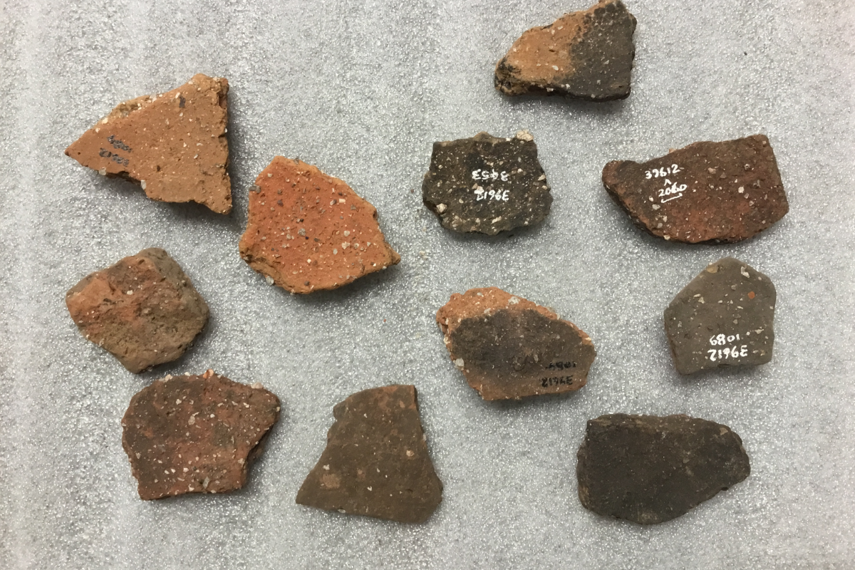 A photograph of eleven pieces of Late Bronze Age pottery, of different shapes and colours