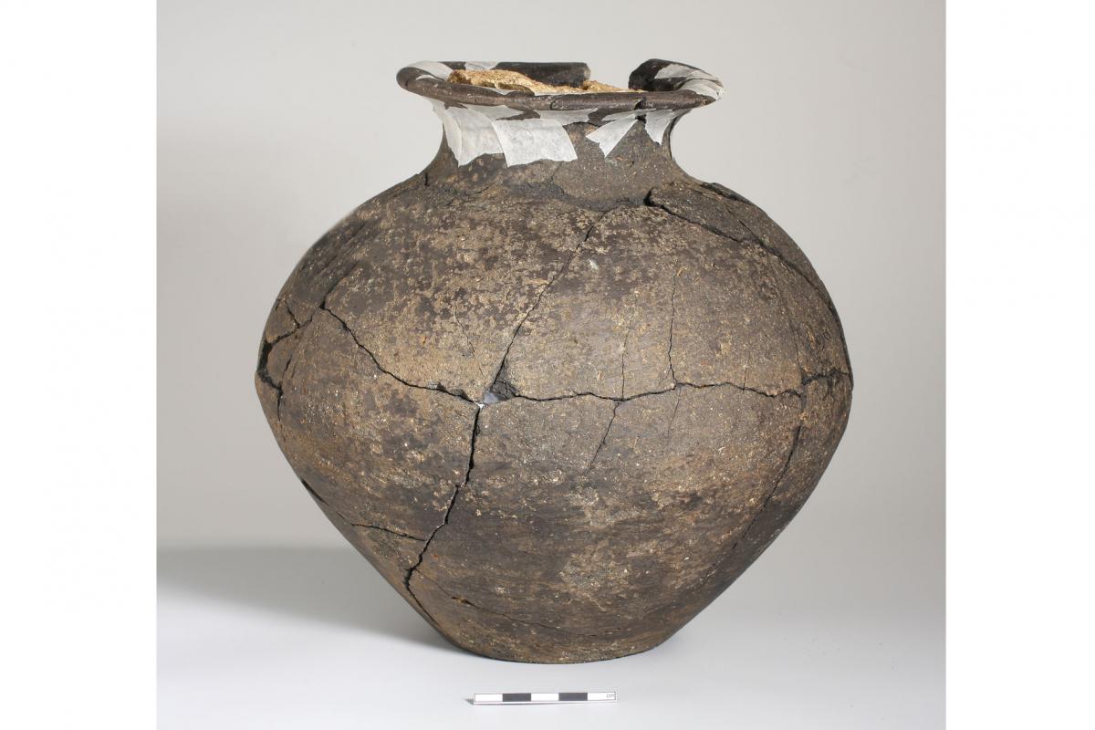 Romano-British cremation urn with intact clay plug 