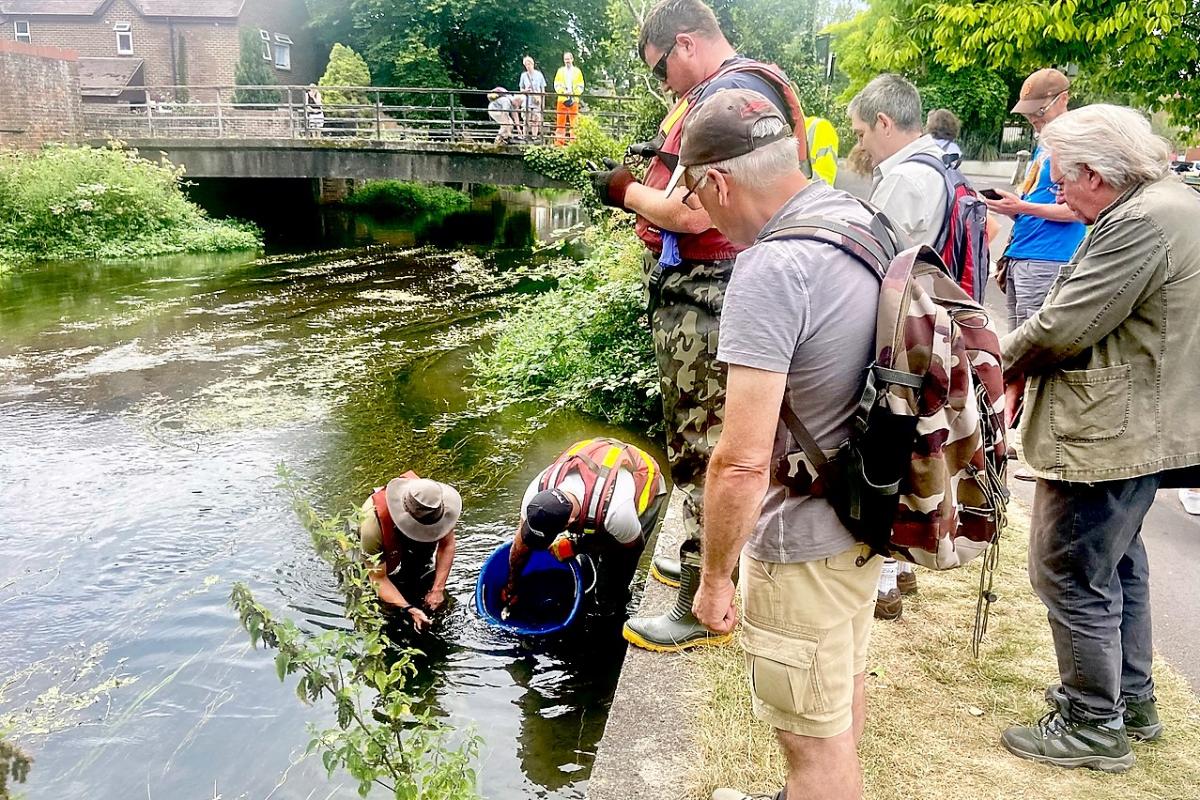 The Ripple Effect project participants look on as the Environment Agency fisheries team gather fish in the River Avon