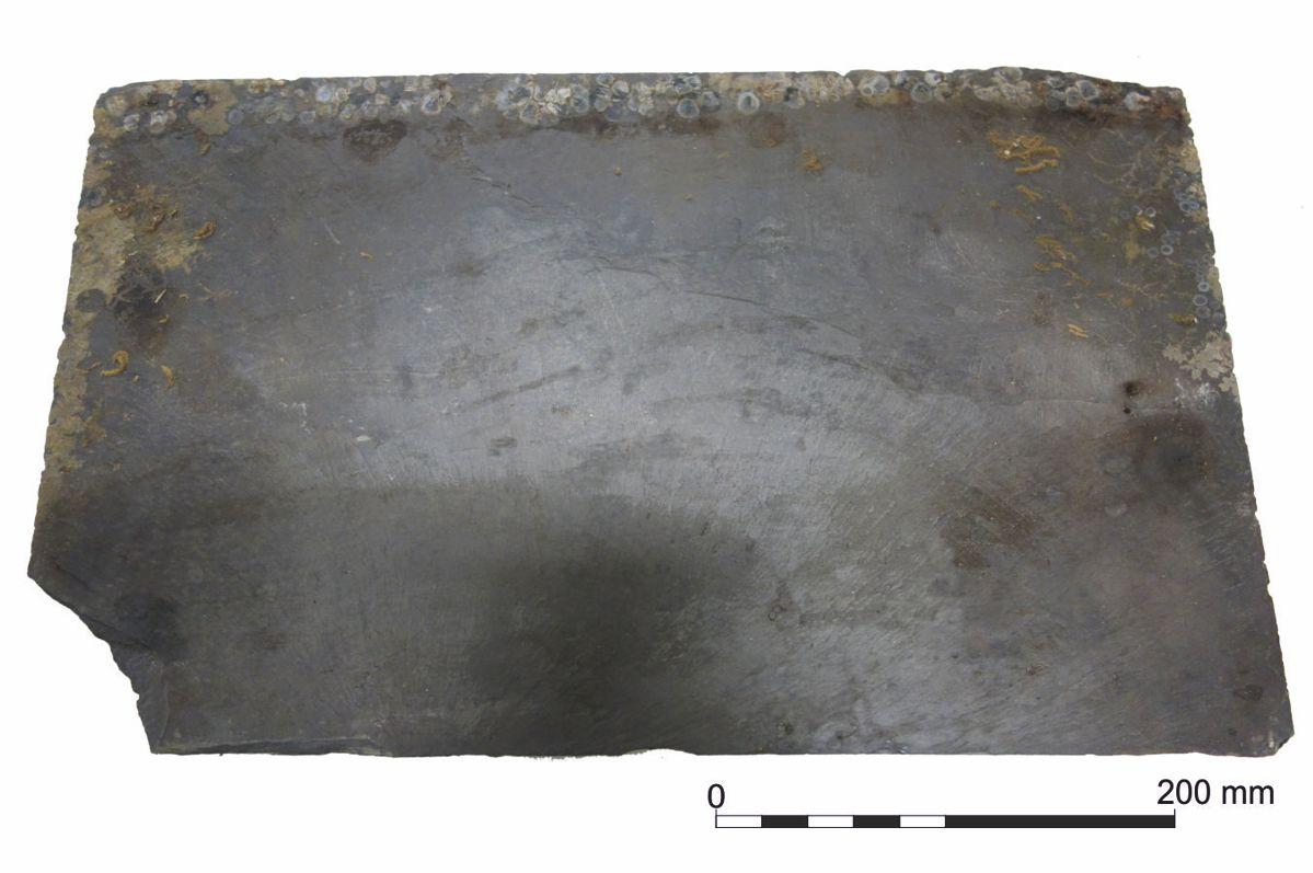 A roof slate from the wreck