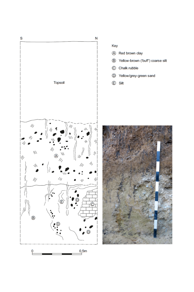 Section drawing and photograph of Wessex Archaeology's 2020 excavations, revealing geological deposits