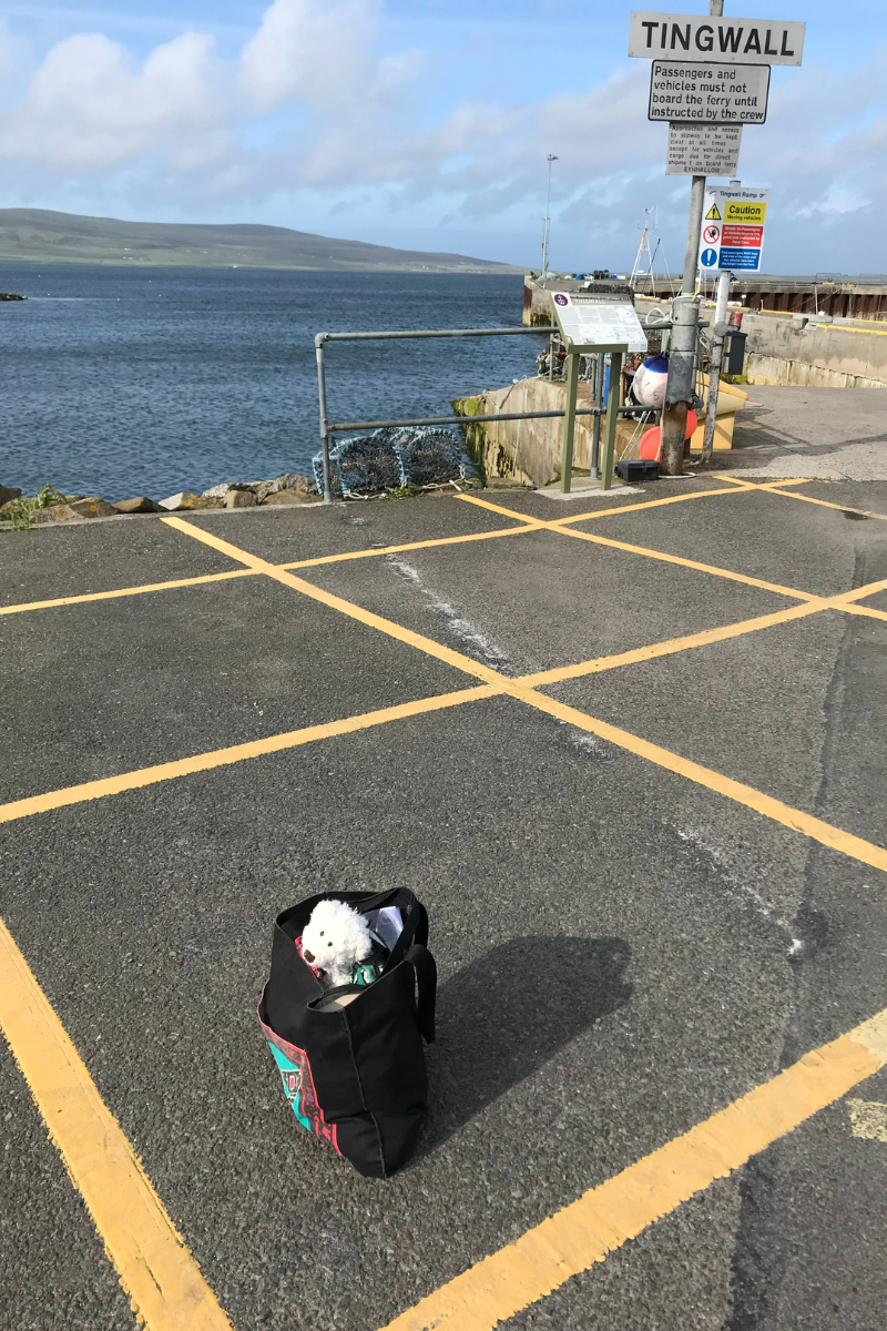 Jackie McKinley's Teddy sits in her luggage as she waits for the ferry to Rousay