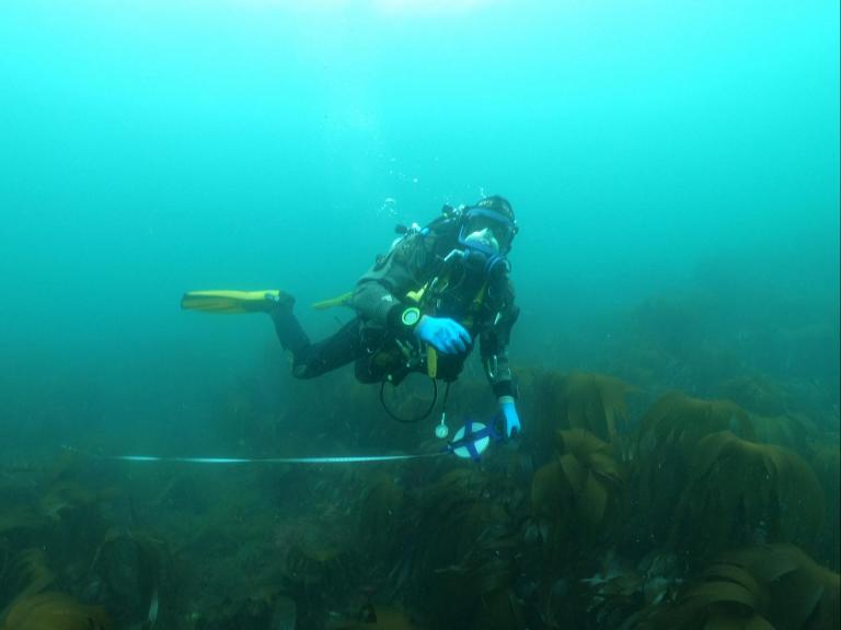 Wessex Archaeology diver on the HMS Montagu 