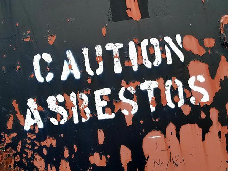 Salamanders and lung disease: the history of asbestos