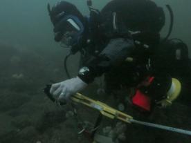Archaeological diver recording on the Sicar Rock site, Dunbar
