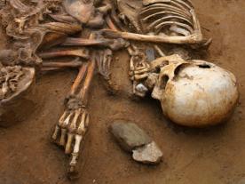 Image of human remains showing the chalk eater from Cliffs End Farm pointing towards his homeland